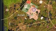 There are two available Mega Milk Molars to collect in the Picnic Table area (Image via Obsidian Entertainment)